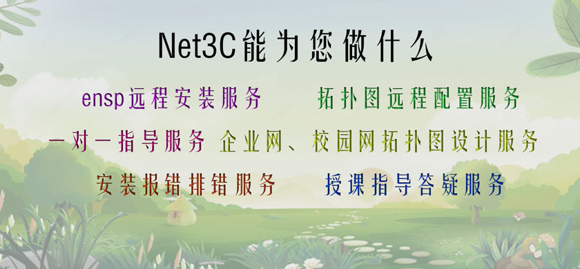 Net3c能做什么